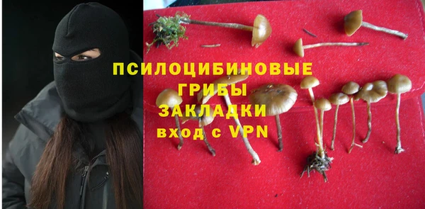 бошки Нея