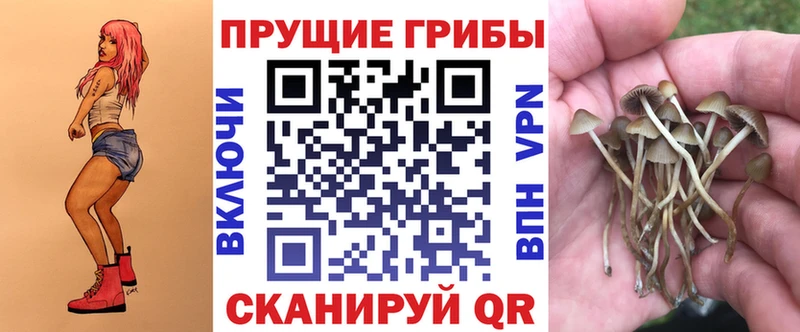 Галлюциногенные грибы мухоморы  Североморск 