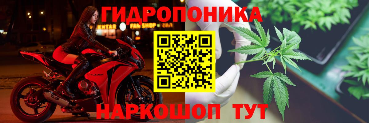 Бошки марихуана MAZAR Североморск